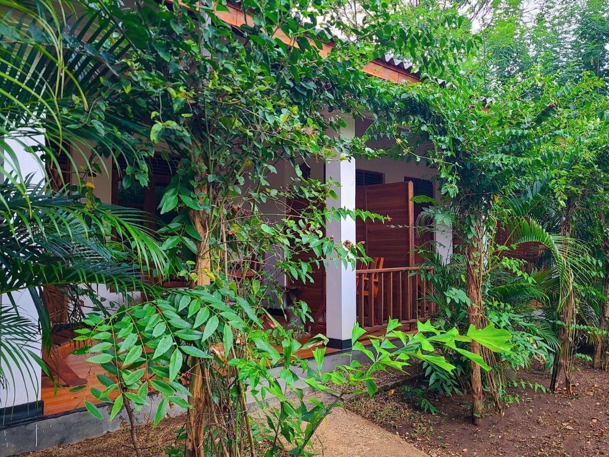 Woodholic Homestay Сигирия Экстерьер фото