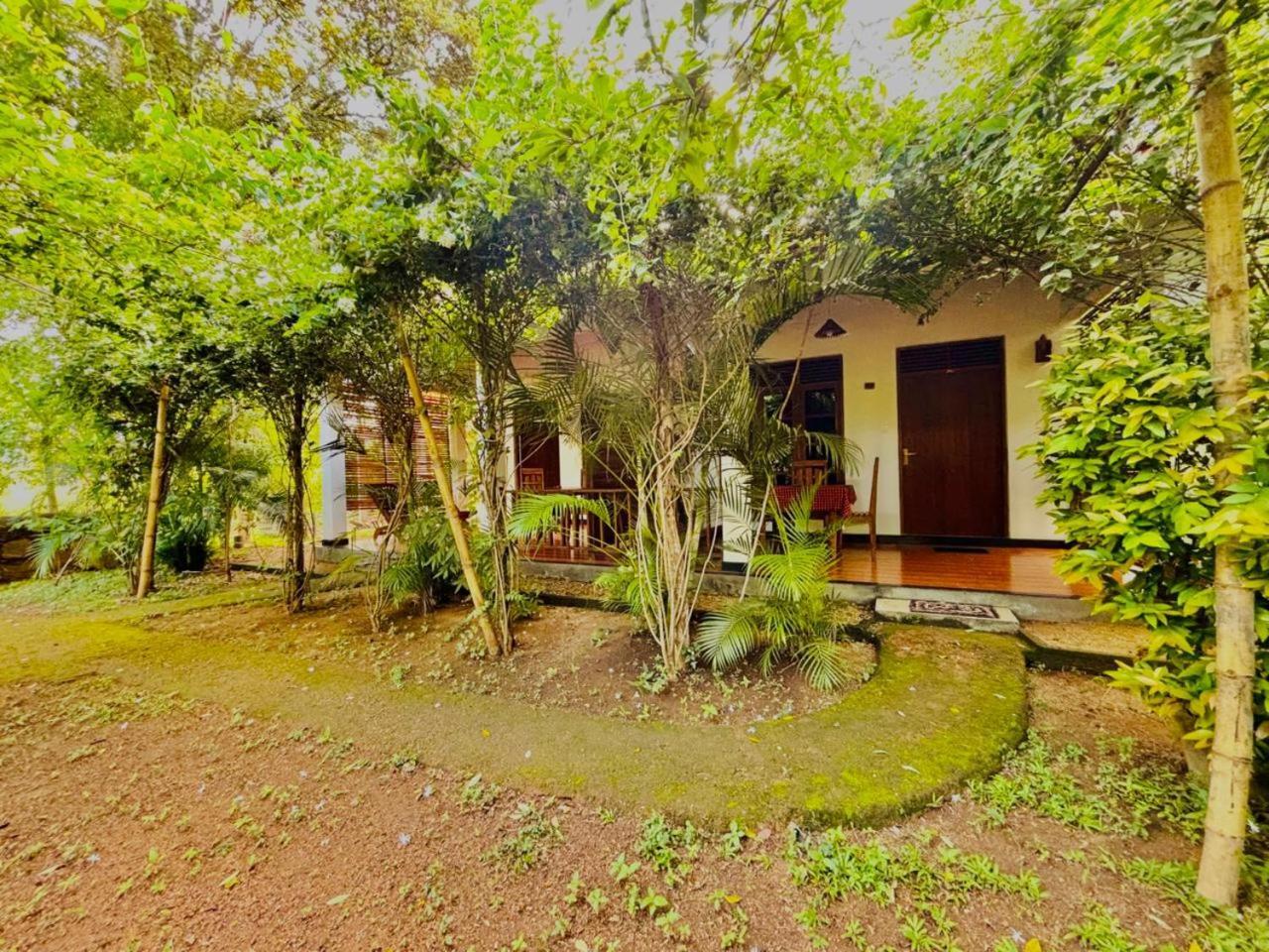 Woodholic Homestay Сигирия Экстерьер фото